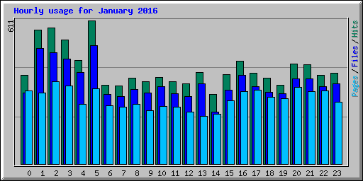 Hourly usage for January 2016