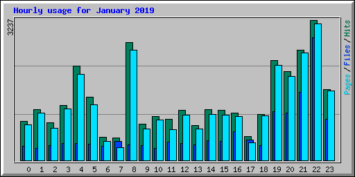 Hourly usage for January 2019