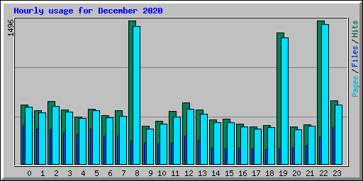 Hourly usage for December 2020