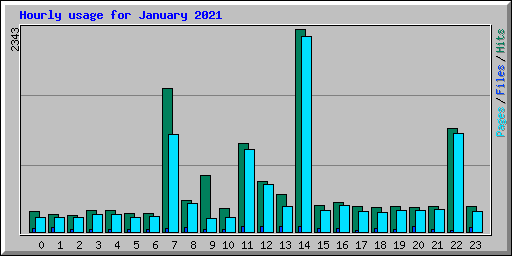 Hourly usage for January 2021