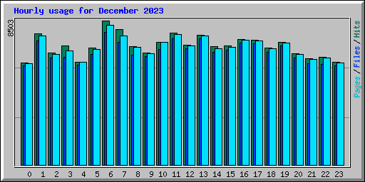 Hourly usage for December 2023