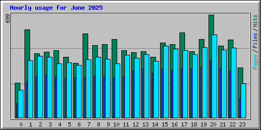 Hourly usage for June 2025