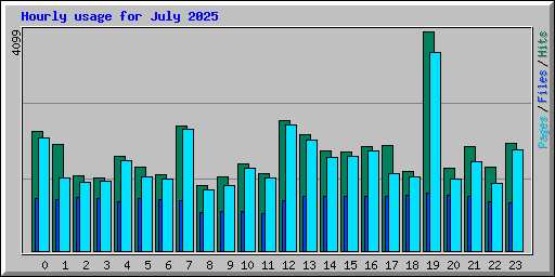 Hourly usage for July 2025