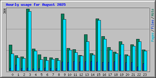 Hourly usage for August 2025