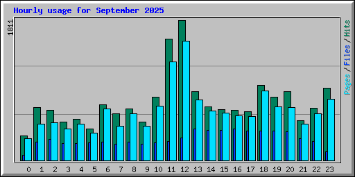 Hourly usage for September 2025