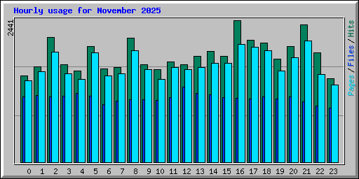 Hourly usage for November 2025