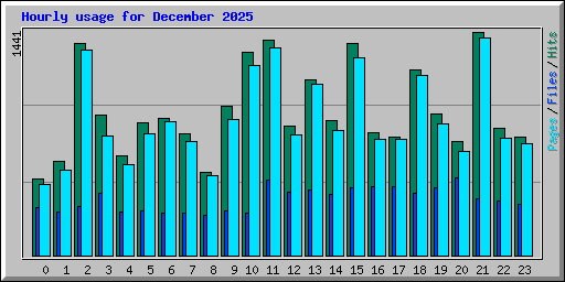 Hourly usage for December 2025