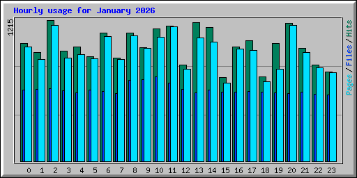 Hourly usage for January 2026