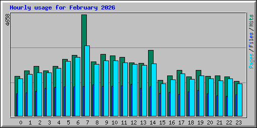 Hourly usage for February 2026