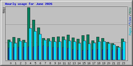 Hourly usage for June 2026