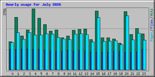 Hourly usage for July 2026