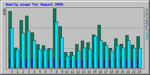 Hourly usage for August 2026